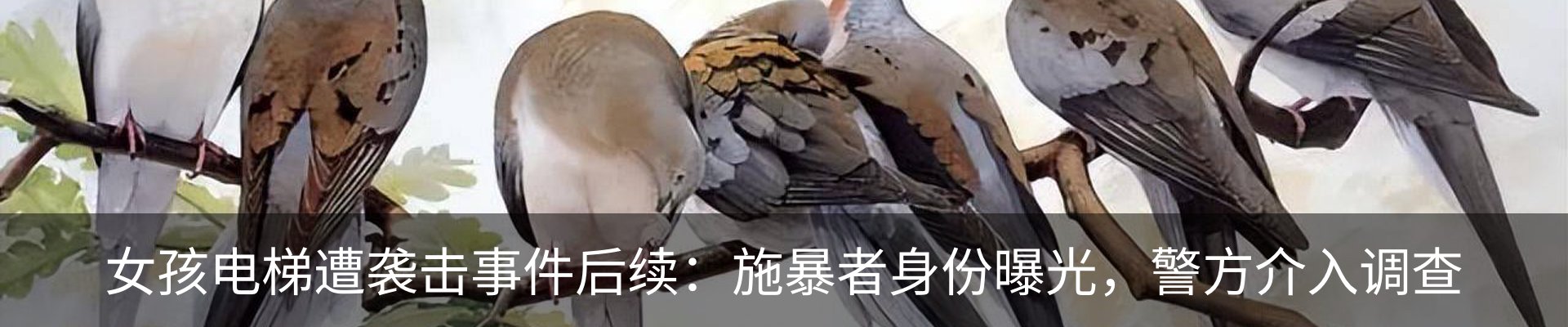 行业资讯